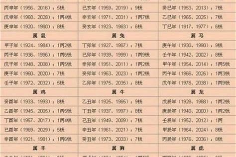 八字重量表2023|八字重量計算器